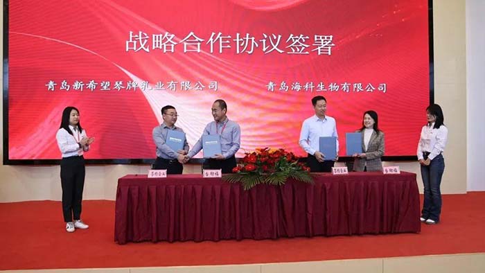 xc sports(中国区)-官方网站